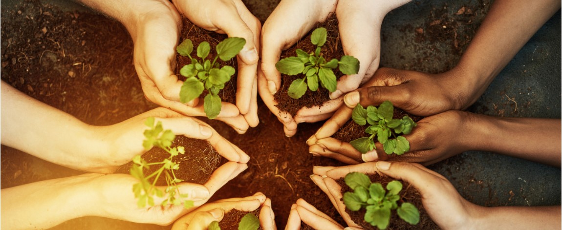 Hands holding plants